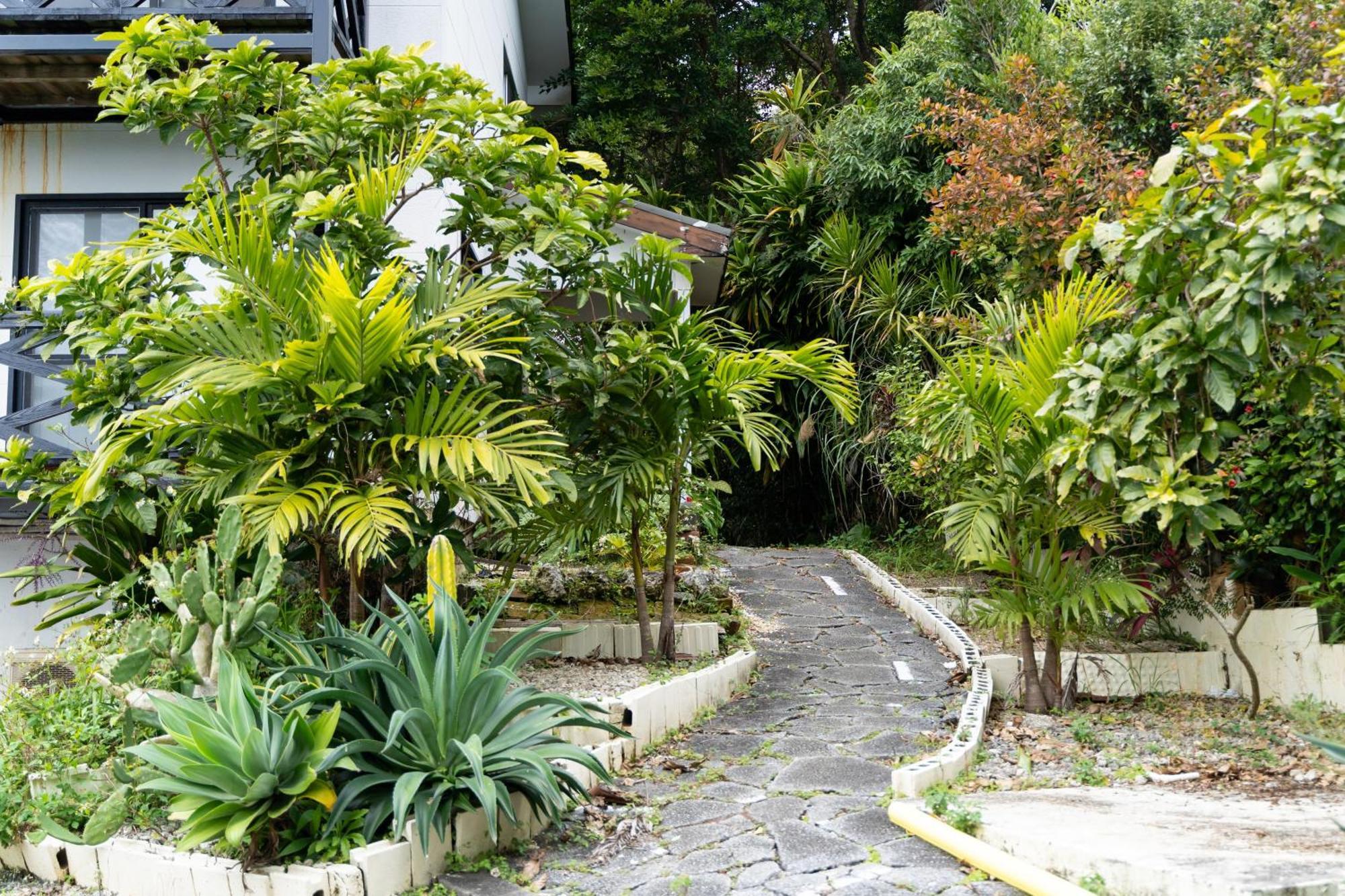 Mambo Hostel Okinawa موتوبو المظهر الخارجي الصورة